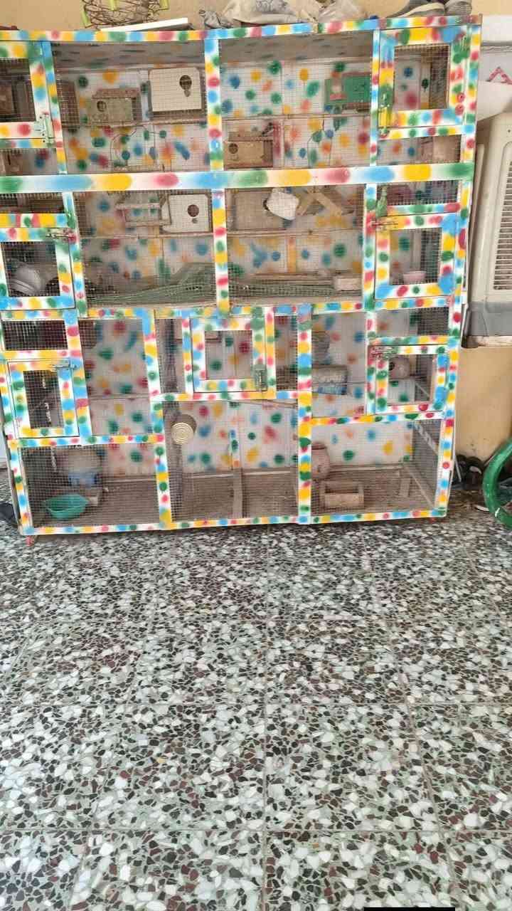 قفص للبيع مكان حله
