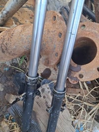 صدر أمامي ألماني • موديل ٨١ • فلوجة