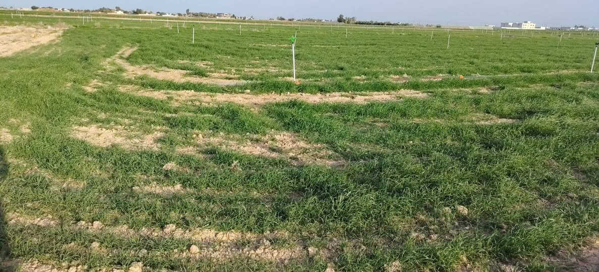 دوانم للبيع🏠في حي الطيوب 
 مخدومات ماء وكهرباء  قرب الشارع العام و على شارع مدرسة ضرار ابن الزور.
للاستفسار يرجي الاتصال على الرقم المكتب الخاص *********** مكتب 🏢وطن للعقار@
