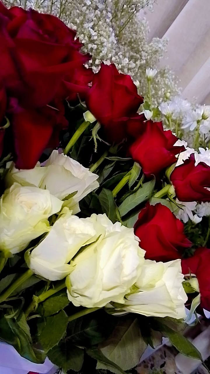 توفرر ورد طبيعي بمناسبه عيد الحب ❤❤✨❤❤
سعر الورده ٣ الاف فقط ✨✨❤❤❤❤❤❤❤


**إذا كنت صاحب هذا الإعلان وتريد حذفه لأي سبب، رجاءا أرسل رسالة إلى الدعم الفني**