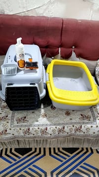 أغراض قطة • كلهن