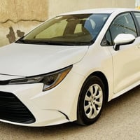 كورلا LE • ٢٠٢٤ • رقم شهداء