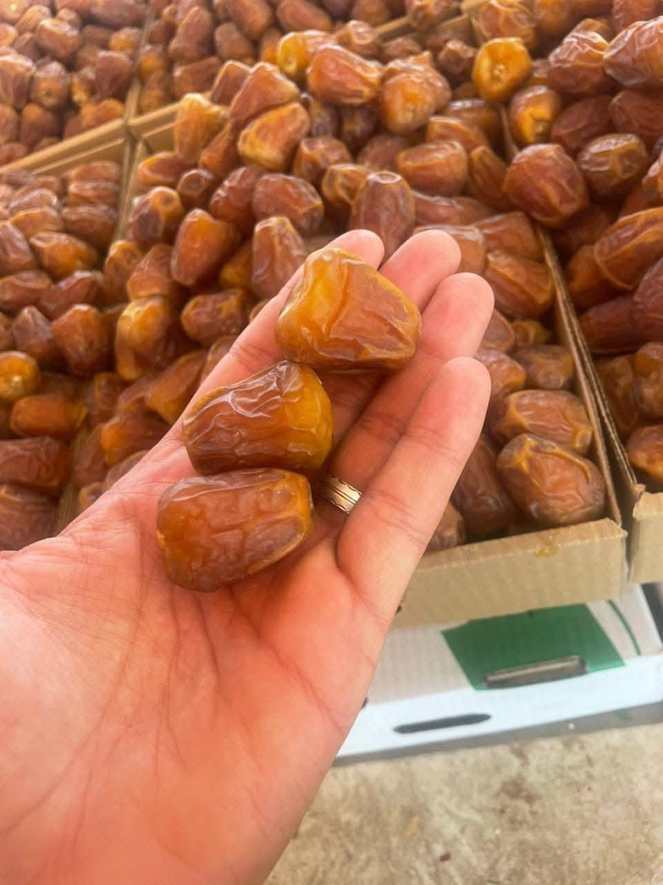 🔥 لكل العراق التوصيل مجانا 🔥
الى عشاق #السكري المفتل السعودي 🇸🇦
جنابلكم هالمرة لوحات فنية مثل بصورة
شرط نفس الصورة يوصلك
الوزن : 3 كيلو
للحجز والاستفسار وتساب فقط 

0775 022 7066

ويتوفر ايضا اصناف اخرى داخل الصفحة
 خدمة توصيل مجانا لكل محافظات العراق 🇮🇶
