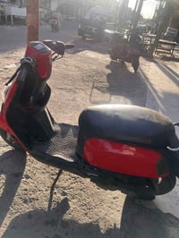 ماكس بوليس • نوزل