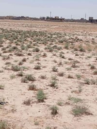 دونمين ونصف للبيع خلف مدرسة الرياحين الأهليه 07734173451 07818330199