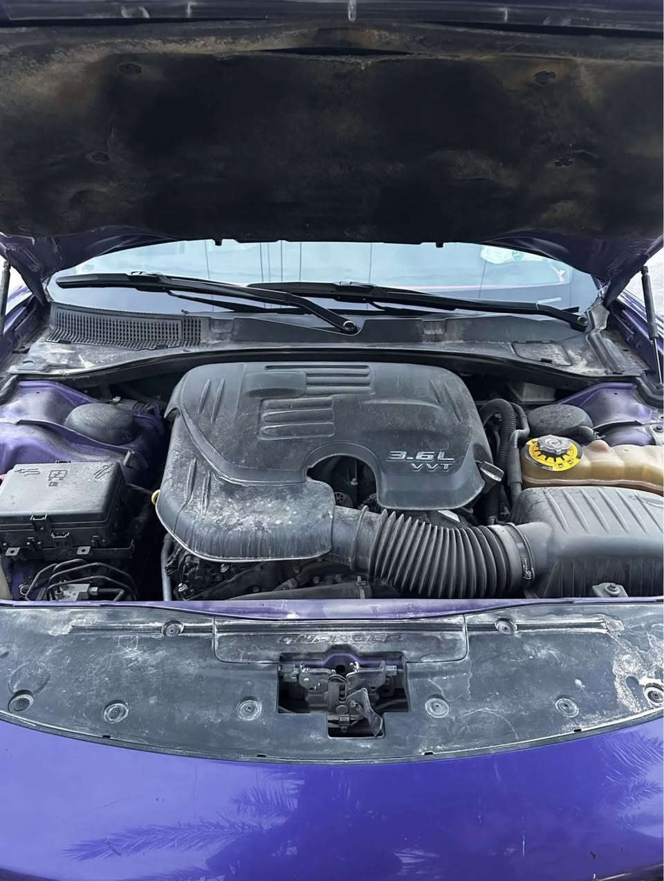 كفاله عامه ***********
