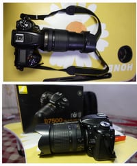 نيكون D7500 • عدسة ٥٠مم • ديوانية