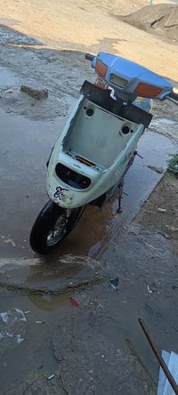 مطور شلعه • فول كبريتا • جديد