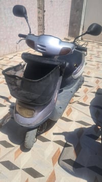 منغولي • ١٧٥ • طويريج