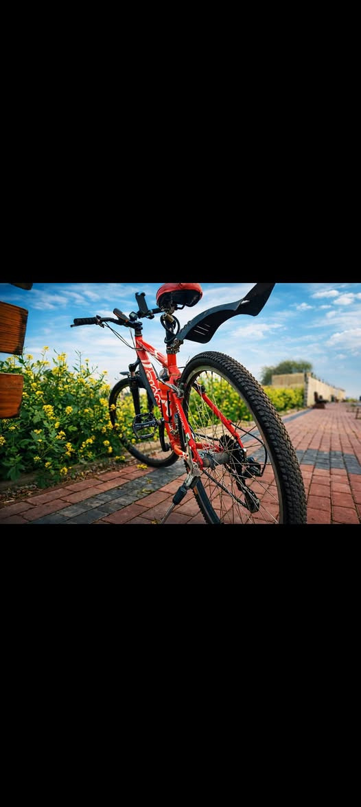 🚴‍♂️ للبيع بايسكل Giant حجم 26

• الماركة الأصلية: Giant.
• حجم البايسكل: 26.
• قبل شهر تم تبديل التايرات والجوبات بجدد.
• يجي وياه ضوء LED وهورن قابل للشحن.
• البايسكل كامل وما بي أي نقص، وكلشي بي شغال وجاهز للاستخدام.
• حالته ممتازة ونظيف جدًا.

💰 السعر: 150,000 دينار عراقي (نهائي وغير قابل للتفاوض).

📍 الموقع: الموصل – الجانب الأيمن.
🚫 ما عندي خدمة توصيل، الاستلام من الموقع فقط.

📩 للجادين فقط، المراسلة خاص أو واتساب:
📱 ***********
