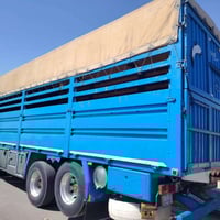 بدي • طول ٧٫٤٠م • ٢٦٠×٢٥٥سم