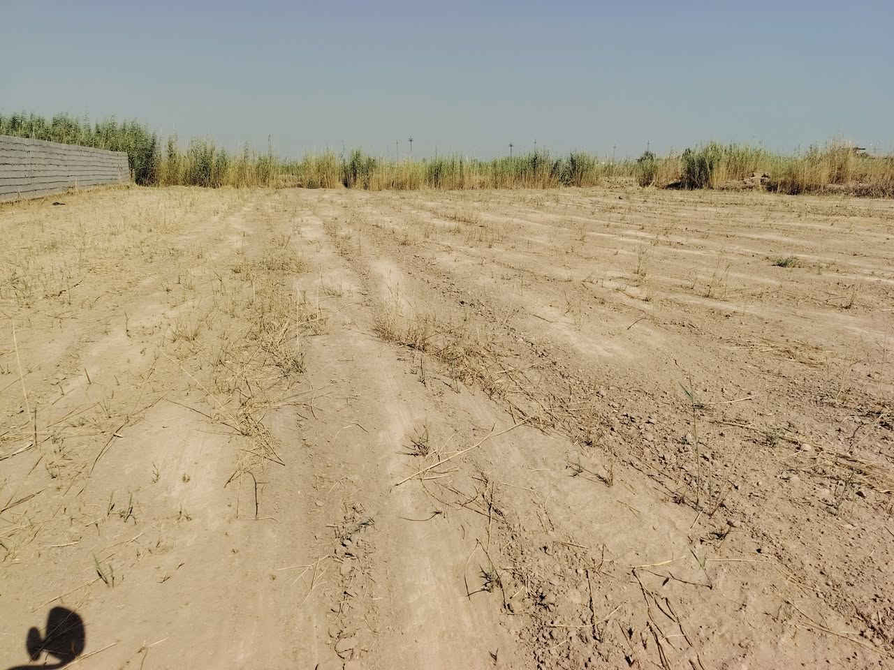 السلام عليكم موجود ٣ دونم  للبيع كافة الخدمات متوفره 
طابو ملك صرف تصلح لسكن او مزرعه عائله او استثمار 
تحويل باسم المشتري
موقعها : بغداد - المدائن سلمان باك
الأسعار تبدي من ١٥٠ مليون و
للاستفسار الاتصال
*********** وتساب موجود ابو جبل
