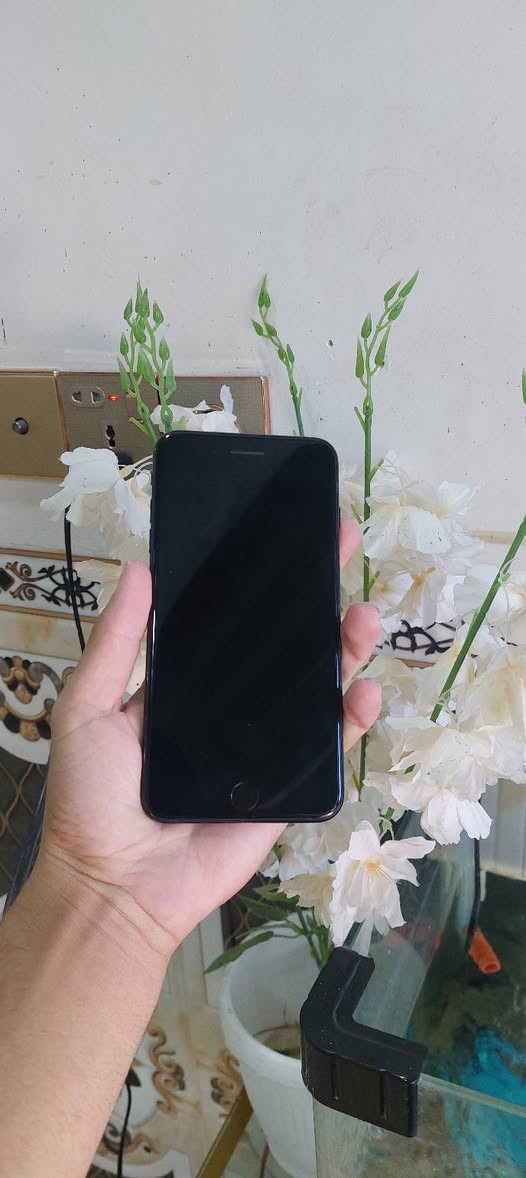السلام عليكم ايفون سبعه للبيع جهاز نضيف ما عايزه كلشي ذاكره ١٢٨ مستبدل فقط بطاريه بل شحن فول
شاشه بلاديه مامبدله 
سعره120بيه مجال ويرهم مراوس اتصل ***********
