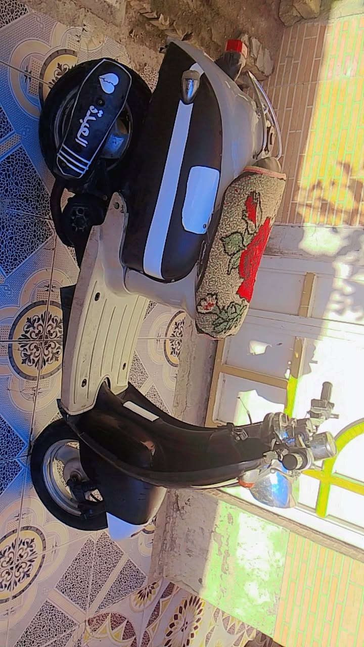 السلام عليكم درجه مصريه مروس بيجي درجه نظيفه مكني سوق الشيوخ كرمت بني سعيد خاص مفتوخ وهذه رقمي ***********
