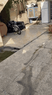 مكتب ابو شمال للعقار ✅️ دار للبيع يصلح سكن واستثمار في حي السكر قرب مستشفى الخنساء
💧مساحة 326متر واجه  16.5 مفصول شقة ارضية وشقه طابق ثاني ودار طابقين واردو 900 الف 

💧شارع صبه بسم الشرعي شرط التحويل 

💧الدار طابقين 5 غرف نوم 

💧المشتمل الارضي غرفة وهول واستقبال ومطبخ 

💧الشقه طابق ثاني غرفة وهول واستقبال مطبخ 
                           سعر المتر مليون 

*********** 
*********** موقع المكتب سايدين الصديق 
***********
