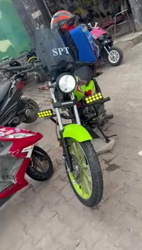 شاينك • جديدة • سنوية