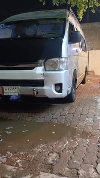 جيلوجي للبيع بيه ضربه بجم بالصفحه طويله مصبوغه احزام ماعده القماره مكي...