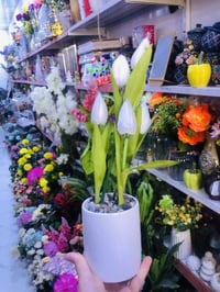 ورد يدوي • جودة عالية • سيد صادق