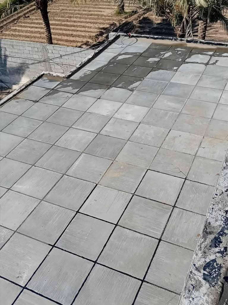 ‏‪***********‬‏
