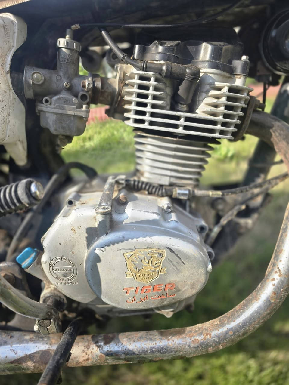 دراجه تايكر 2019 اوراق كامله
كهربائيات كامله كلشي شغال 
دراجه نضيفه يرادلها ترتيب 
مكاني بابل جبله 
السعر  290 
***********
