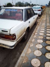 سوبر • سماوه الخضر • سعر خاص