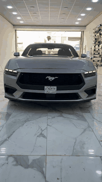 السلام عليكم 
للبيع موستنك ايكو بوست  2024 شكل الجديد.  

وارد امريكي ضرر وصبغ جاملغ السايق وبنيد  

 الضرر مال السياره صاير جانبي من فوك حتى الرادترات بلاديه ما امبدله 

يعني مو مثل ما شوف صور الحادث كول حادث قوي بس هو مو قوي 

لانه الضرر صاير جانب اليسر وجانب اليمين سليم  

وشرط الكير والمحرك + الكهربائيات كفاله.   يعني على وضع الشركه 

وبيه صبغ شويه  بالتكمه مال السايق لانه البنيد راجع عليه وشرط السقف شخط مابي يعني مكفول 

السيارة شرط حلوة وجديدة مصلحة تصليح درجه أولى 

الدعاميه مبدله اصلي شركه 

مواصفات 

بصمه دخول ذكي + تشغيل عن بوعد 

رادار امامي توقف ذاتي   ورادار جانبي + حساس خلفي  كله شغال  

سايد بريك كهرباء   تبريد شاشه ثلج

ماشيه  30  جاهزه من كلشي 

السياره حلوه جديده على وضع الشركه 

السيارة حره بدون رقم  

تتراقم بغداد او محافظات 

السعر 175 وبي مجال الشراي يخابر 

***********
