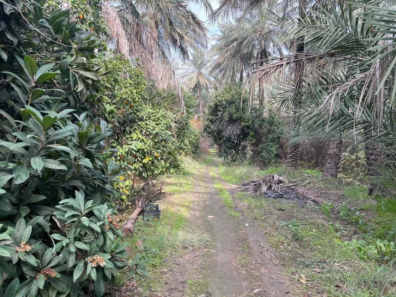 🌷🌹بساتين عدد 2 للبيع / ديالى خانقين / كوجة باغ جلوه طابو صرف 
واحد منهم 10 دوانم 
والثاني 4 دوانم  / مثمر اثنينهم 

السعر / كل دونم 70 مليون 

للأستفسار اكثر اتصال بالارقام فقط 
***********
***********
مكتب فريا موفق للعقار
