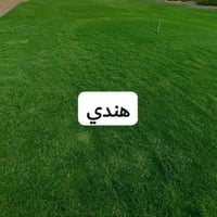 انتاج خاص بمزارعنا حيث الجودة والسعر المناسب   ☘ثيل هندي طبيعي نوعية م...