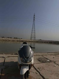 فورزة • كفالة عامة • بصمة