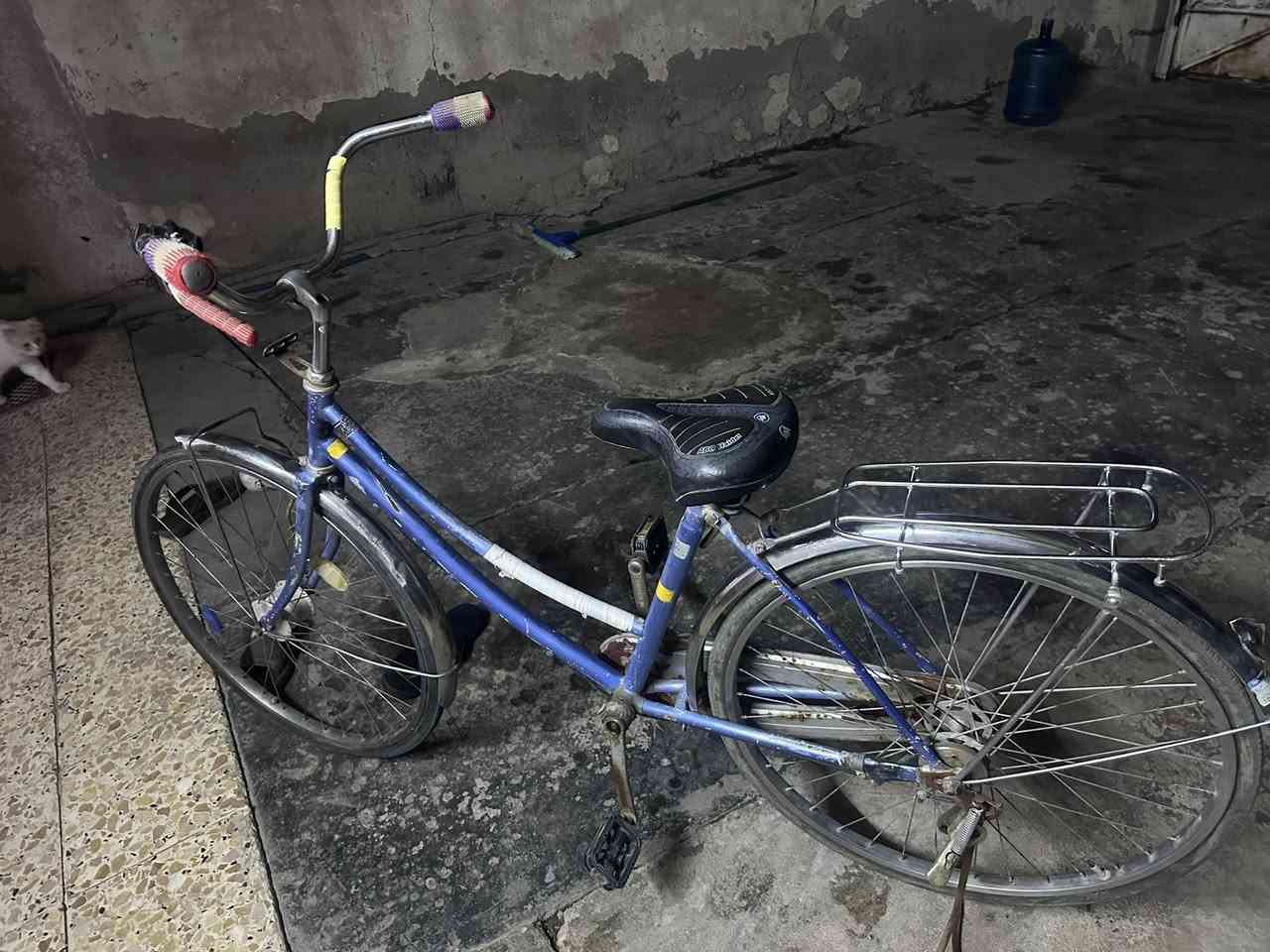 باسيكل بناتي 26 نظيف فقط زنجيل
سعر مناسب


**إذا كنت صاحب هذا الإعلان وتريد حذفه لأي سبب، رجاءا أرسل رسالة إلى الدعم الفني**
