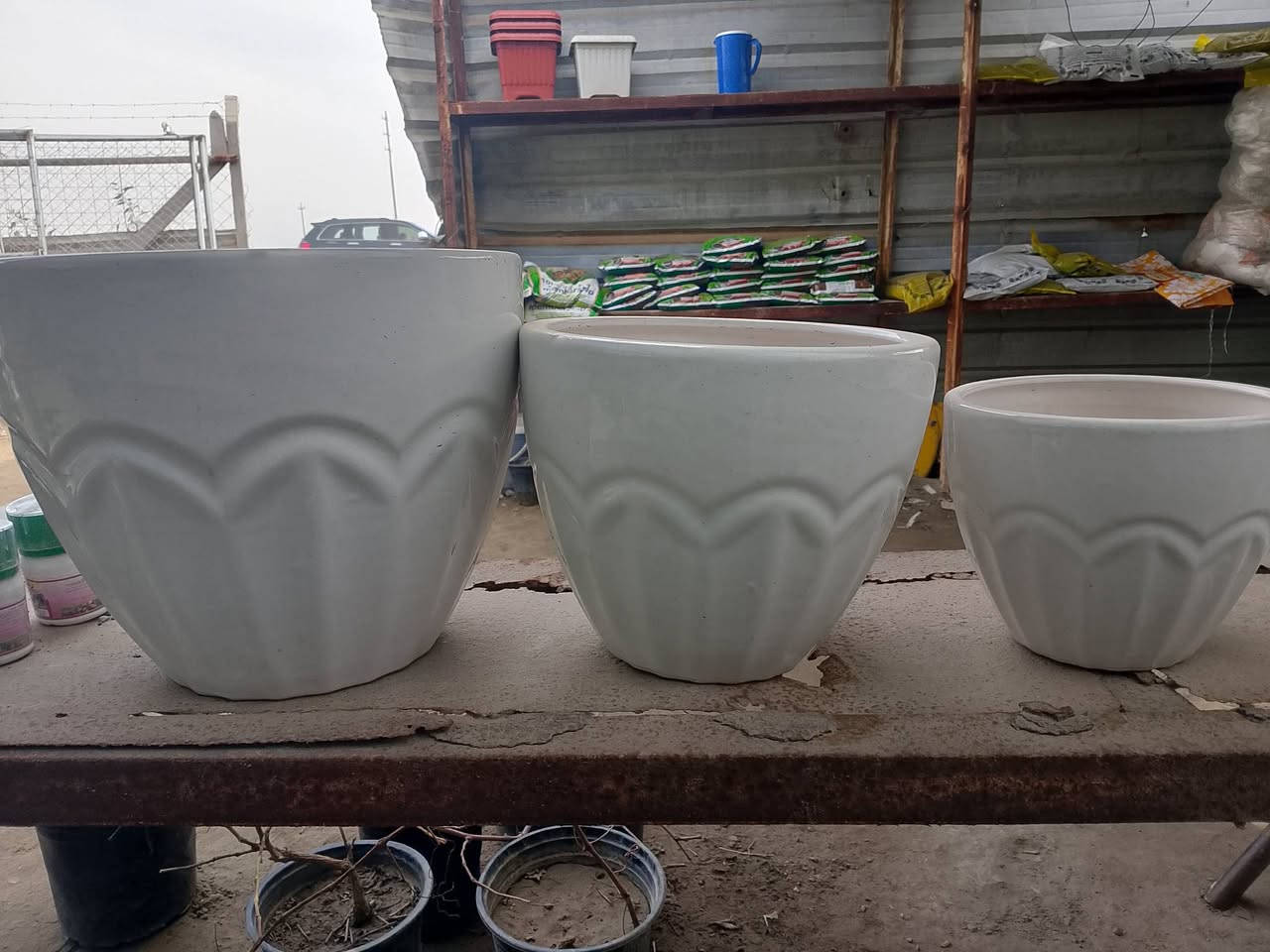 (بسم الله))
((مشتل الأنوار))🌻🌷🌵
يعلن مشتل الأنوار عن توفير كافة النباتات الزينه والنباتات الداخلية والحمضيات داخل المشتل وبأسعار تنافسيه 🔥🔥
زورونأ في العنوان الدائم🔥🔥
العنوان الصويره الشارع العام  مجاور مجمع أبو زهراء للسيراميك 🔥🔥 
للتفاصيل اكثر داخل الصور 
ويوجود خدمه توصيل  🚛 🚚 🚗


**إذا كنت صاحب هذا الإعلان وتريد حذفه لأي سبب، رجاءا أرسل رسالة إلى الدعم الفني**