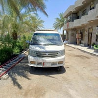 فتون • ٢٠١٠ • كربلاء