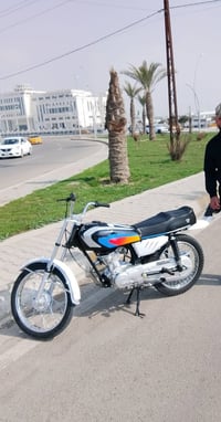 دراجه • رابيدو • للبيع