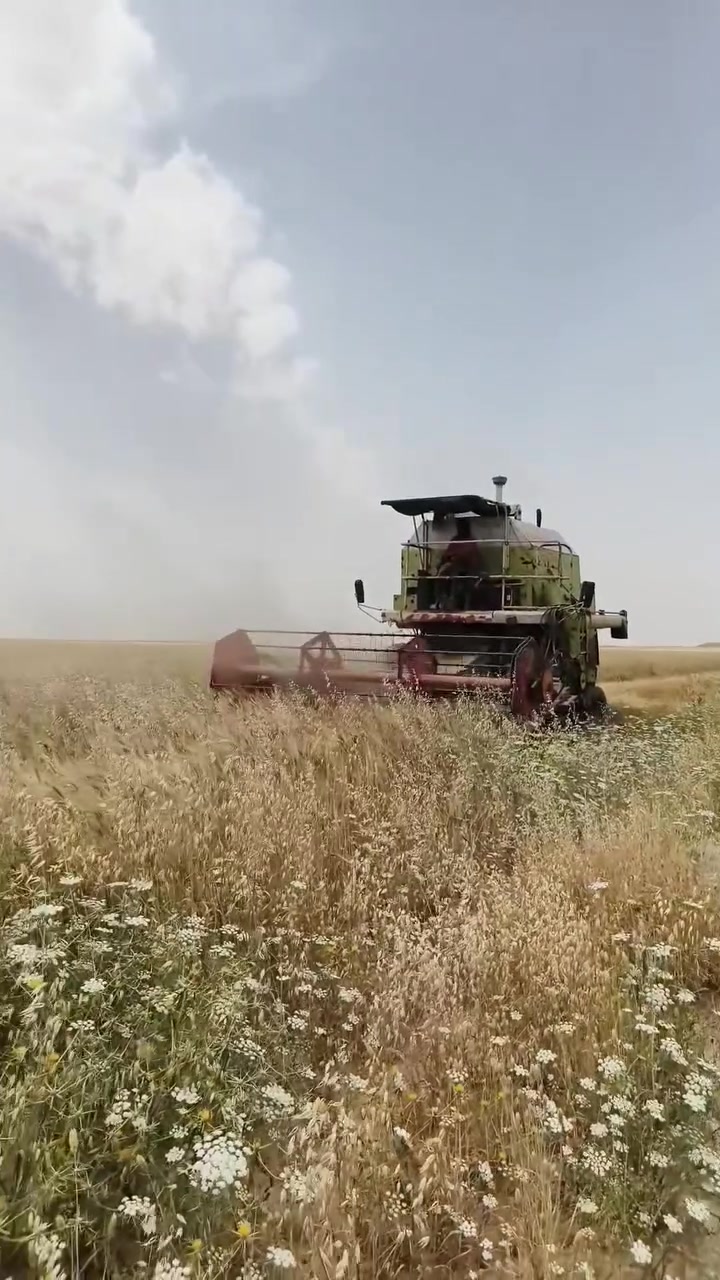 للبيع جاهزة مثل مااتشوف فقط المحرك صطر بي بوش ونامت
السعر  اربع ونص اتصل ***********
