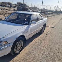 مكفولة • ليت زينون • رقم ميسان