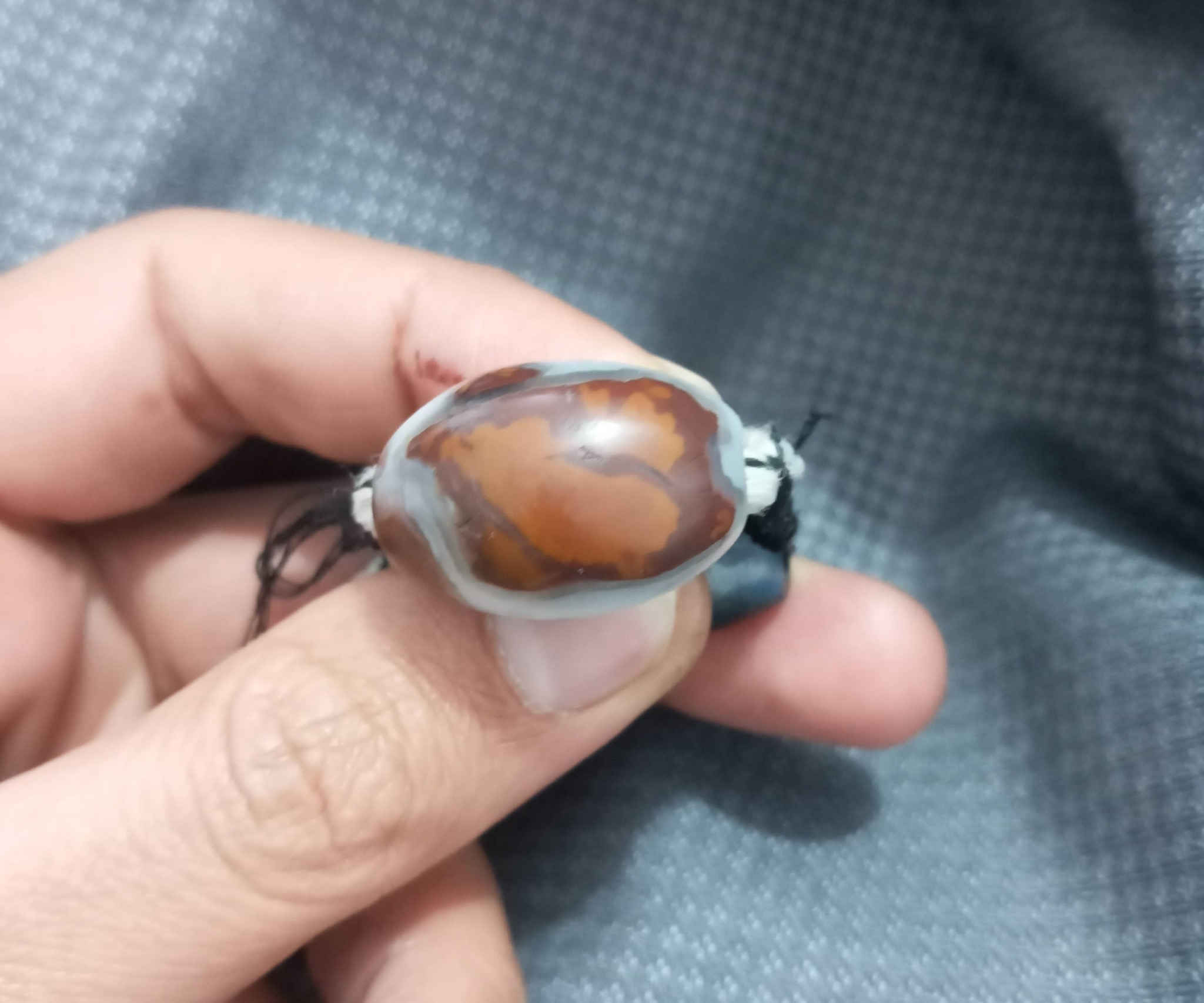 السلام عليكم
حجره داووديه عطف للبيع قيمها واخذها


**إذا كنت صاحب هذا الإعلان وتريد حذفه لأي سبب، رجاءا أرسل رسالة إلى الدعم الفني**