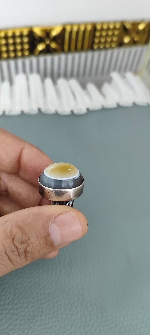 جزع يماني شرط للبي. ع


**إذا كنت صاحب هذا الإعلان وتريد حذفه لأي سبب، رجاءا أرسل رسالة إلى الدعم الفني**