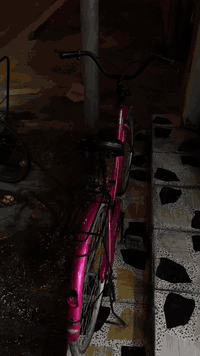 سلام عليكم 
بايسكل للبيع 

لون حلو و نادر 

نضافه ٩٥ بل ١٠٠ بل حقيقه احله 

أي عيب مابي 

سعر ١٠٥ وبي مجال للشراي 

كركوك حي واسطي 

***********
 و تحياتي للجمع
