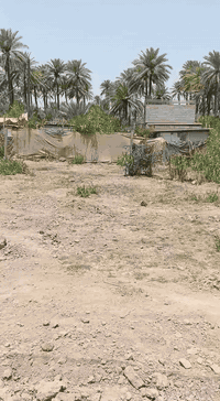 بهرز الشاني • ٢٢٦م • ركن زراعي قرار٢٥