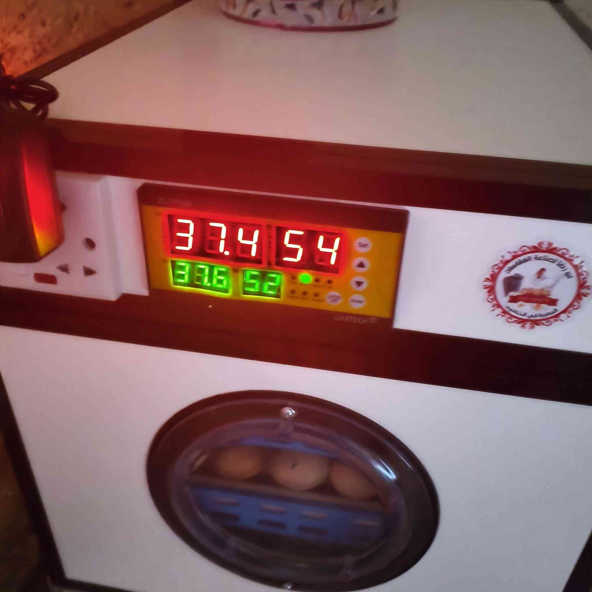 توفر تفقيس بيض كافه انواع الدجاج استقبل كميات
الاستفسار ***********
