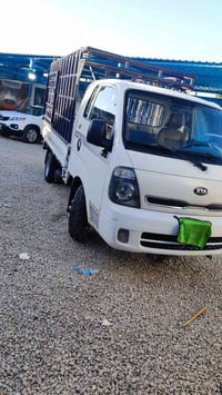 فحل موديل 19. كفاله  07805298307