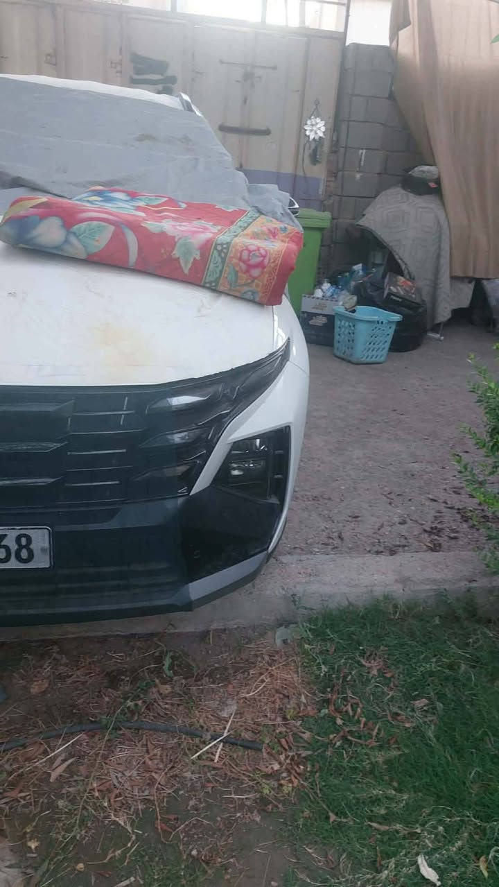 توسان خليجي موديل ٢٠٢٦ زيرو
رقم بغداد بسمي تحويل مباشر 
فول مواصفات عده بنوراما. تو كلر
كفاله عامه. بس رقمته. وظلت بلبيت 
ويل ١٩....محرك ٢٠٠٠ دوش 
للتواصل ت***********
بغداد الراشديه
