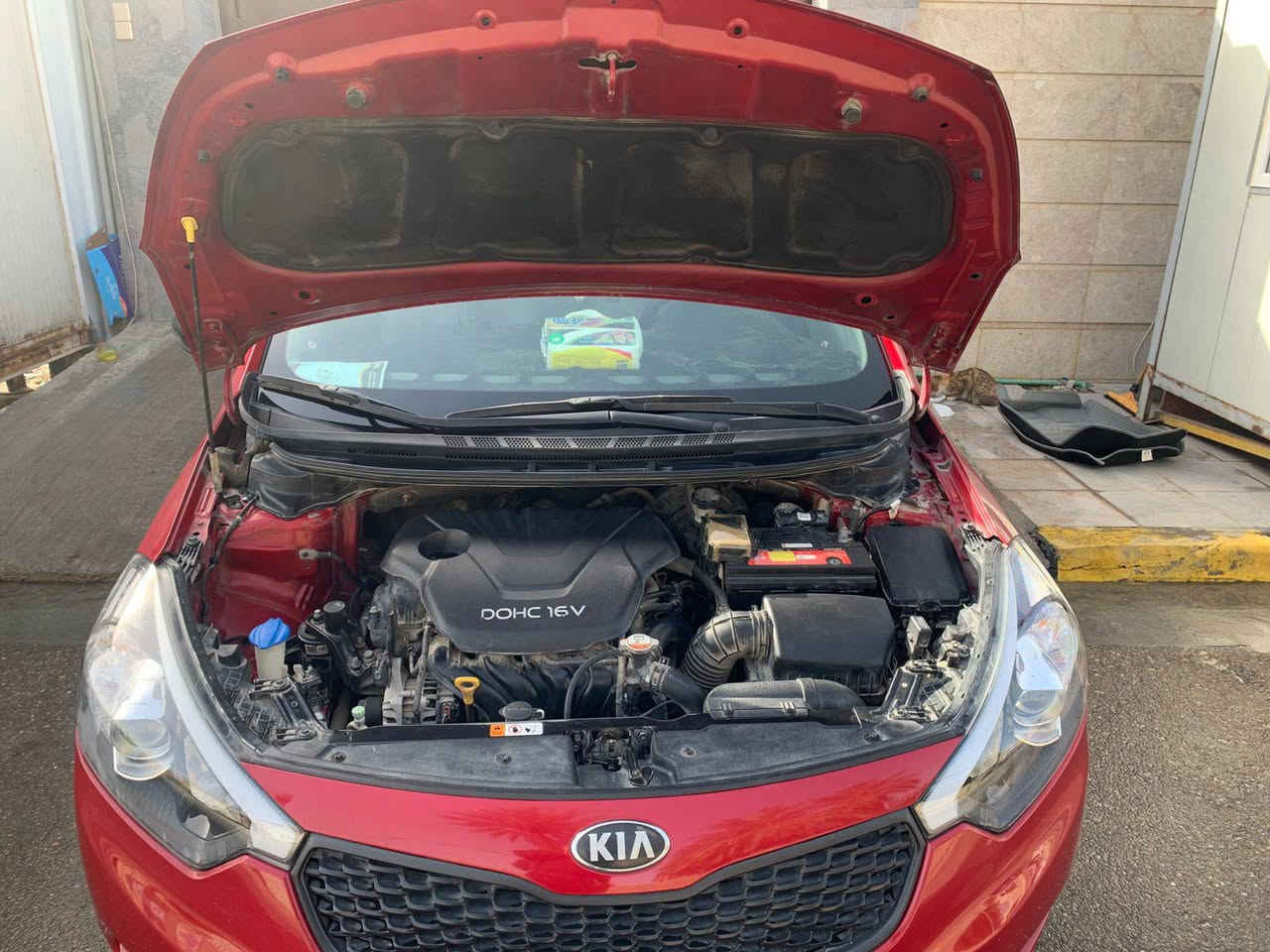 سيارة سيراتو 2014
سيارة نضيفة بيهة فقط باب السايق صبغ وشوية بارد جاملغ خلفي 
نضيفة مدوشمة تدفئة تبريد ما بيهة نقص ولا برغي 
ماشية حقيقي 63 الف كيلو من الشركة هية عدنة 
رقمهة الحديث الانكليزي. صدرهة جديد قبل سبوع مبدلة ب ٣٥٠ الف باتري جديد  
محركهة ١٦٠٠ ستندر مكفول لا تنقيص ولا تبخير
اقرة المنشور زين وخابر وبخدمتك 
مكانهة المنصور 
السعر 11$ و ٣٠٠$ وبيهة مجال بسيط 
اتصال.  ***********
