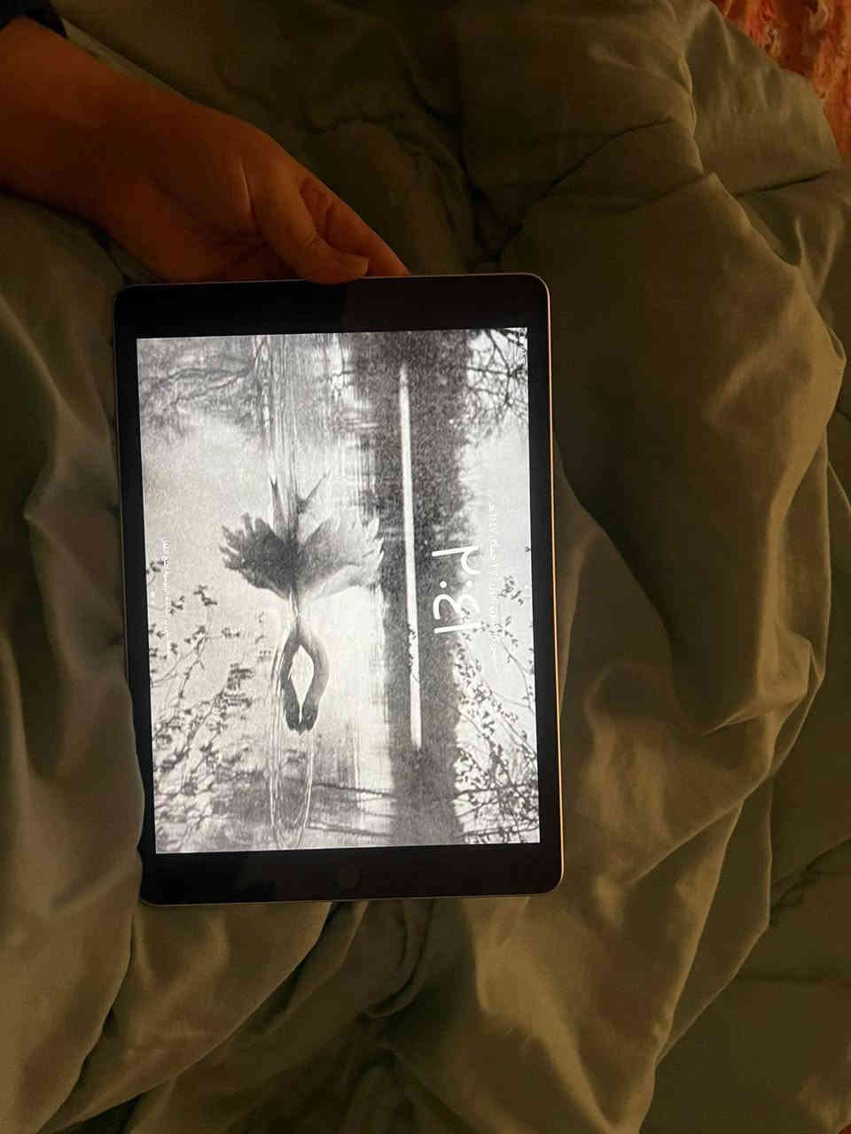 سلام عليكم ايباد 9 للبيع ذاكره 64 فول نضافه السعر 300 ألف العنوان بغداد للتواصل ***********
