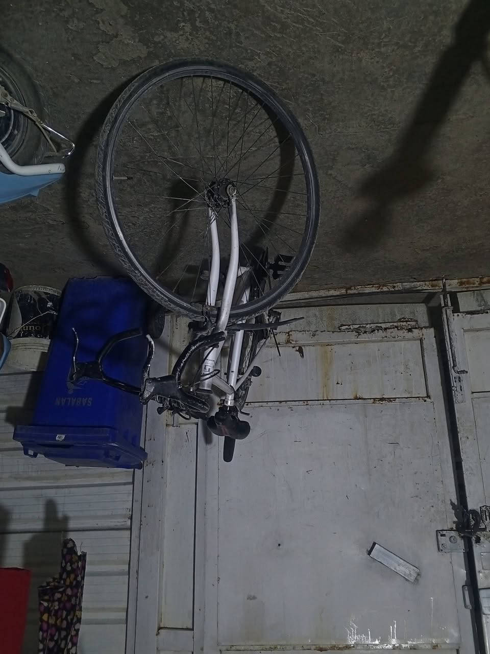 بايسكل رياضي ياباني لون أبيض مال سباق ورحال بين المحافظات السعر75 وبي مجال هواي العنوان الغزالية نزله الجسر التواصل خاص كلشي شغلات


**إذا كنت صاحب هذا الإعلان وتريد حذفه لأي سبب، رجاءا أرسل رسالة إلى الدعم الفني**