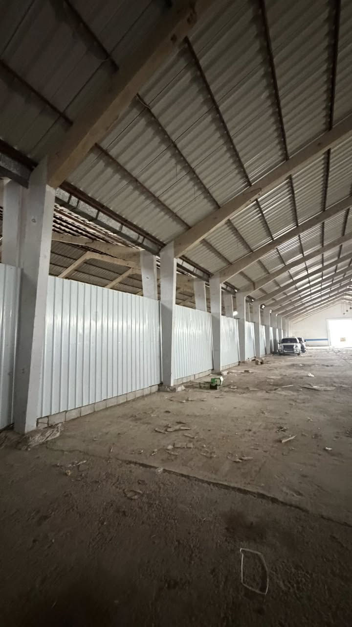 جينكو + مستعمل بشرط جديد ونضيف 100‎%‎ للتفاصيل اكثر 
مكاني صلاح الدين تكريت 
***********
