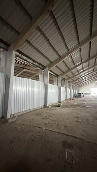 جينكو • بحالة جديدة • صلاح الدين تكريت