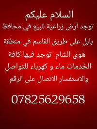 بابل • طريق القاسم • عقد ١١٧