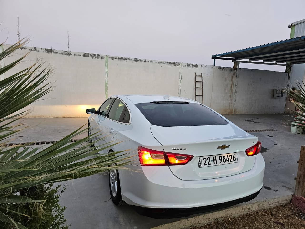 ‎ﻣﺎﻟﻴﺒﻮ 2022‎


**إذا كنت صاحب هذا الإعلان وتريد حذفه لأي سبب، رجاءا أرسل رسالة إلى الدعم الفني**