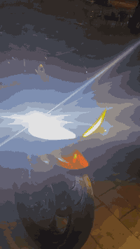 لسلام عليكم كاوسكي للبيع شوفت عينكم مكفوله الدراجه لسعر اتصل ودلل ***********
